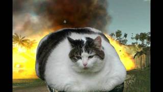 John Orr the Satellite