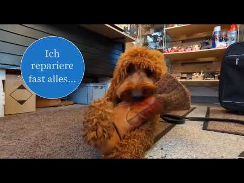 Imagefilm über MeisterBrumm