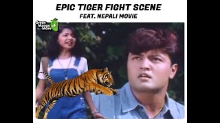 Epic Tiger Fight Scene Feat Nepali Movie (Wort Fig