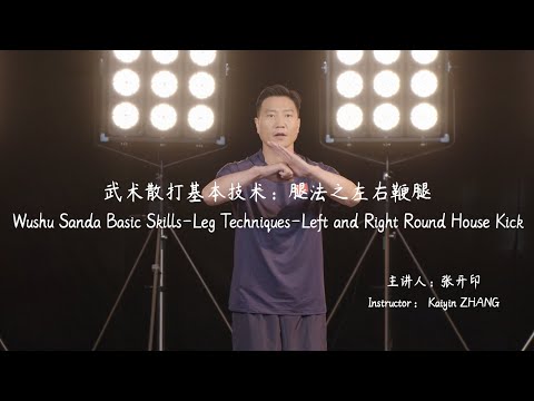 Wushu Sanda Basic Skills-Leg Techniques-Left and Right Round House Kick