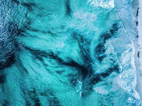 Blank Embrace - Asphodel [Ambient/Warm Drone 🇷🇺]