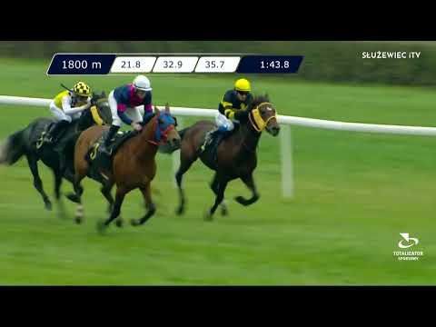 Nagroda Geparda 12.11.2022 - (Dzień 45; Gonitwa 2)