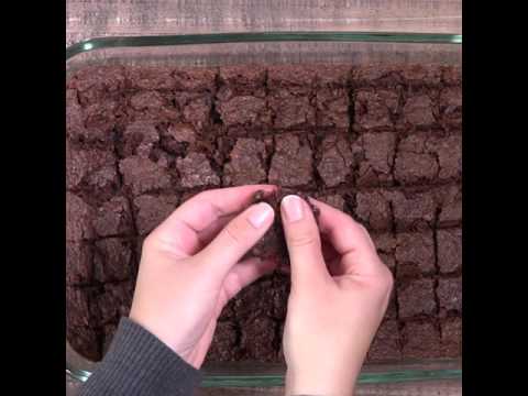 download lagu mp3 mp4 Domestic Rebel Chocolate Chip Cookies, download lagu Domestic Rebel Chocolate Chip Cookies gratis, unduh video klip Domestic Rebel Chocolate Chip Cookies