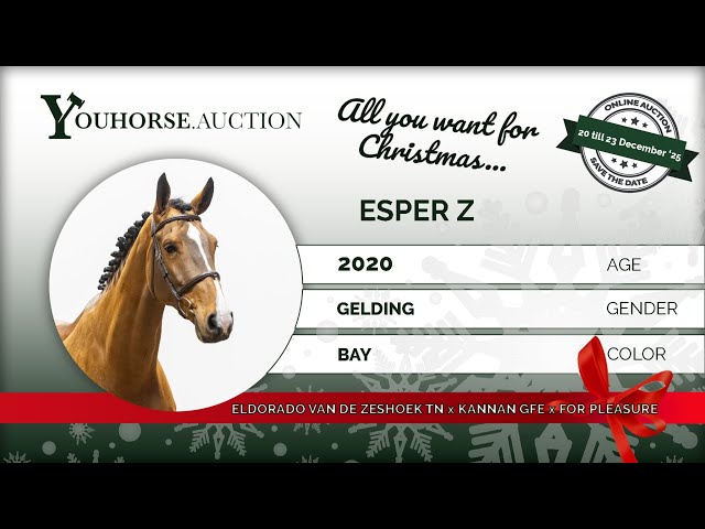 Esper Z showvideo 5 yo class