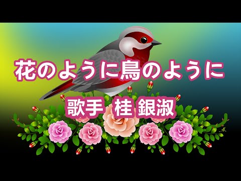 春に鳥に餌をやる方法は、羽毛のような庭の巣を引き寄せます