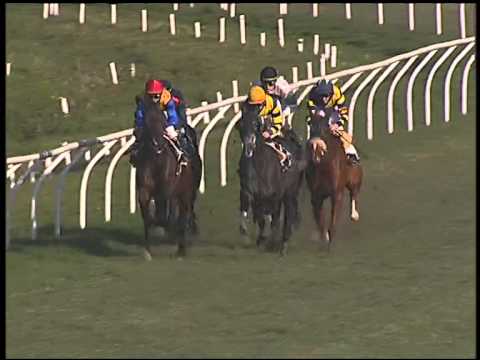 Galoppo 16/01/2015 - 2° corsa