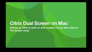 Citrix Dual Screens on Mac