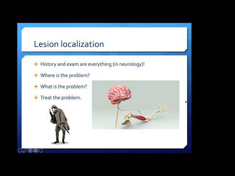 Neurology Lesion Localization