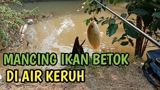 Download lagu MANCING IKAN BETOK DI AIR KERUH mp3