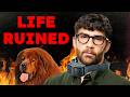 How To Mistreat Your Dog Fail To Get Away With It The Full Hasanabi Collargate Scandal