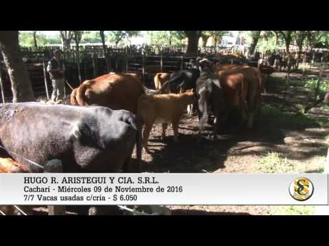 09-11-16 - Venta de Vientres - Hugo R. Aristegui y CIA. S.R.L. - Cacharí