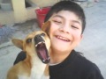 A Mi Perrito Toby Te Quiero Mucho