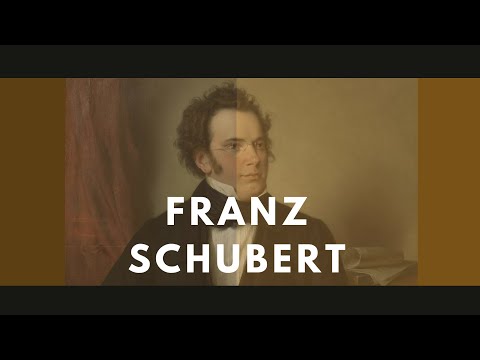 Franz Schubert - eine Biographie: Sein Leben und seine Orte (Doku)