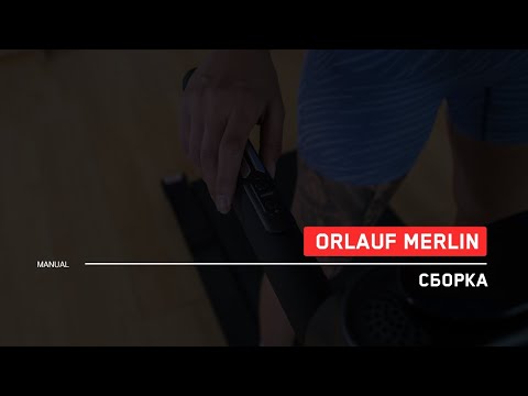 фото электрическая беговая дорожка orlauf merlin a 0