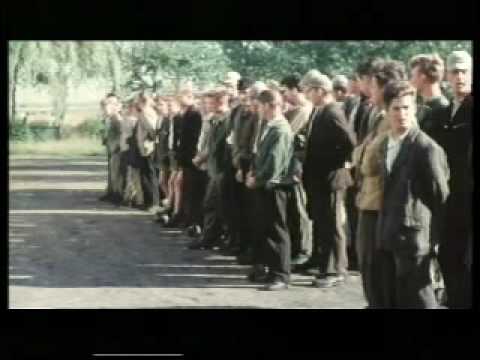 Frontal21 vom 22.04.2008 Zwangsarbeit im Kinderheim