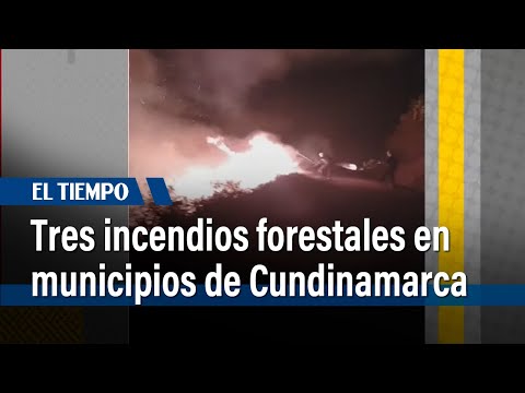 Tres incendios forestales en Cundinamarca: Ubaté, Chipaque y Cáqueza | El Tiempo
