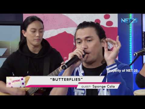 Butterflies - Sponge Cola