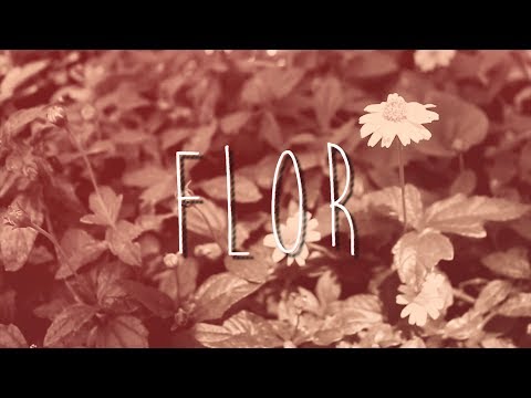 Flor - Goya Reggae Rock