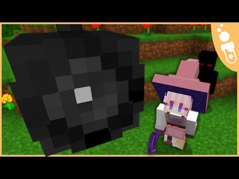 ElixerMV - Destroying the Cameras on [REDACTED] SMP