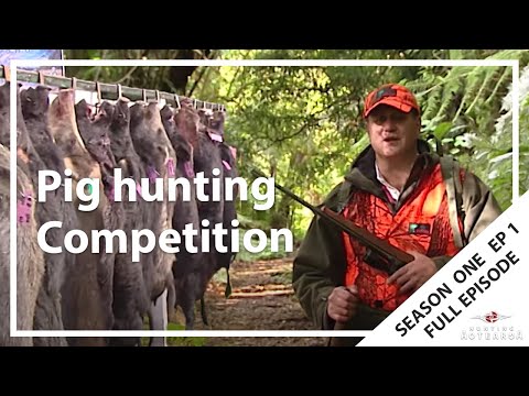 Hunting Aotearoa: Ataiamuri Pig Hunting in the Central Plateau Pine Forests Season 1 EP01