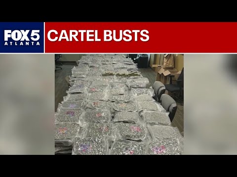 Cartel bust gets drugs, guns and suspected gang members off the streets | FOX 5 News
