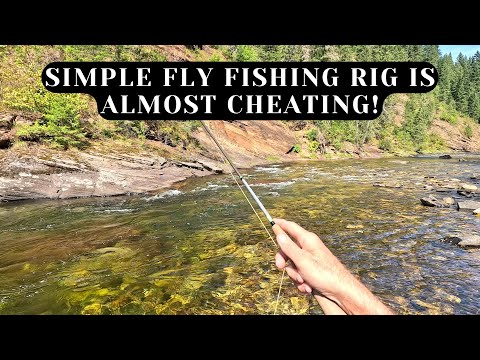 Trout have no chance - This fly fishing rig makes catching trout TOO EASY!