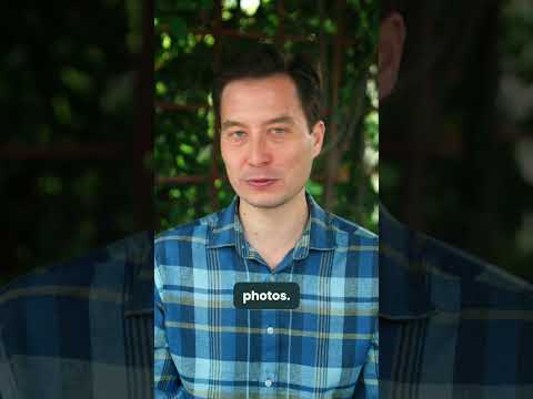 Organize Your Photos Like a Pro: 4 Google Photos Hacks