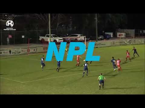 NPL Round 21 - Olympic FC vs Brisbane Roar FC Youth Highlights