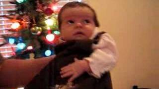 Delia's Christmas Lights!