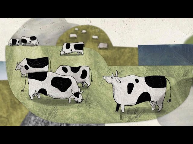 O krávě – About a Cow | Trailer