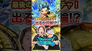【ドラクエウォーク】終了間際のラストチャンスガチャ！出るかはてんの月輪！？w【カミュ装備ガチャ】#shorts