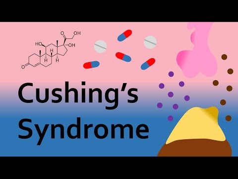 Exogenous Cushing's Syndrome: The Hidden Dangers of Steroid Overuse