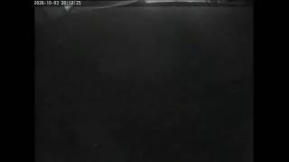 Minnesota · Falcon · Boswell 2 live stream
