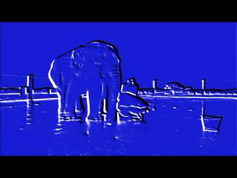 Teletubbies TV Washing the Elephant Date 1 July 1998