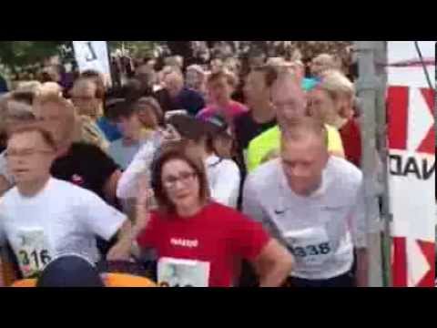 Blodomloppet 2013 - målet