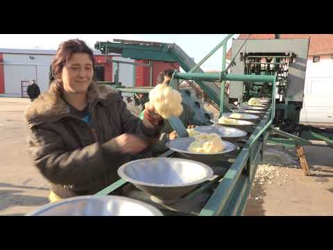 Može bolje ep. 90 24.12.2018. NAJAVA