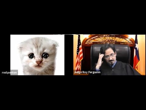 This is the actual end of the #lawyercat video, with the filter removed and our faces revealed!