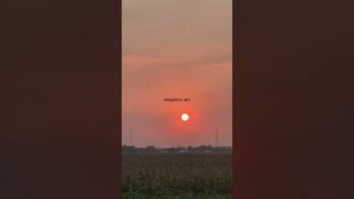 Download lagu Merindukanmu | D’Masiv #merindukanmu #dmasiv #lyrics #rindu #ldr mp3 Download lagu Merindukanmu | D’Masiv #merindukanmu #dmasiv #lyrics #rindu #ldr mp3