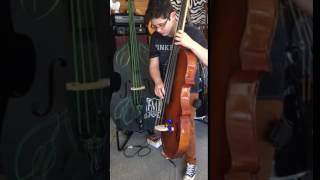 Eminence Removable Neck 4 String Upright Bass