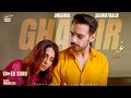 Ghair OST Waqar Ali Ushna Shah Usama Khan Adeel Hussain ARY Digital