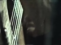 Luiz Bonfá -The Shade of The Mango Tree (Antonio Carlos Barbosa Lima)