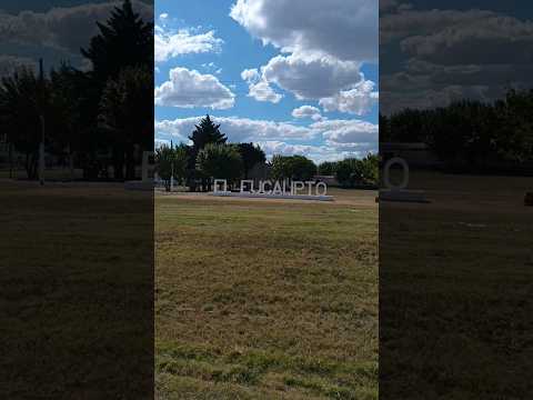 Localidad de El Eucalipto departamento de Paysandú , Uruguay 🇺🇾 . Videitos cultura uruguaya .