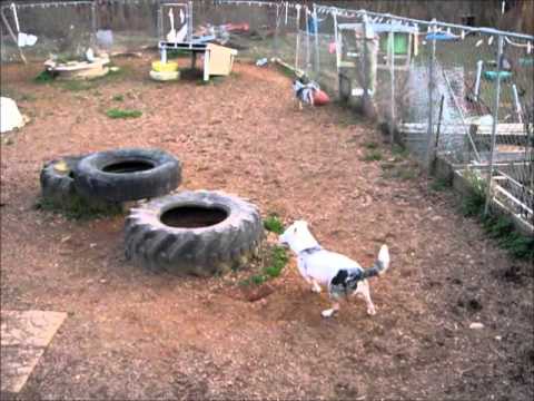 5 O'clock 500 video