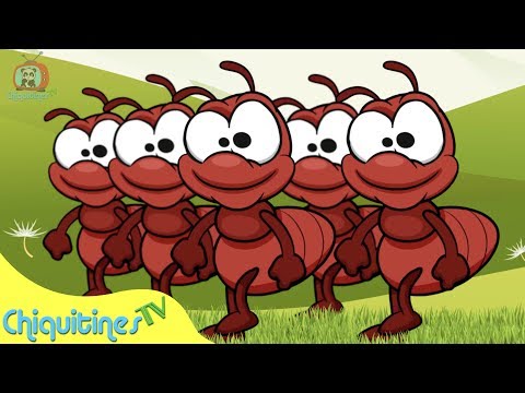 La Marcha de las Hormigas - Canción Infantil