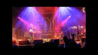 Levellers - The Recruiting Sergeant  LIVE Bearded Theory 2013