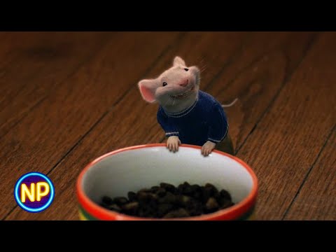 Stuart Little (1999) | Official Trailer