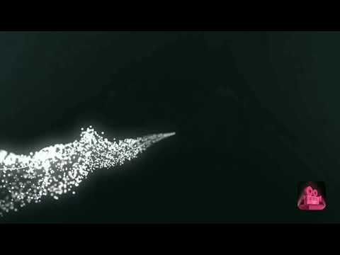 FLEX on you by ynw melly