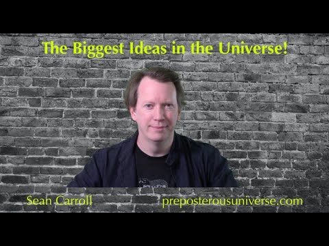 The Biggest Ideas in the Universe | Q&A 17 - Matter