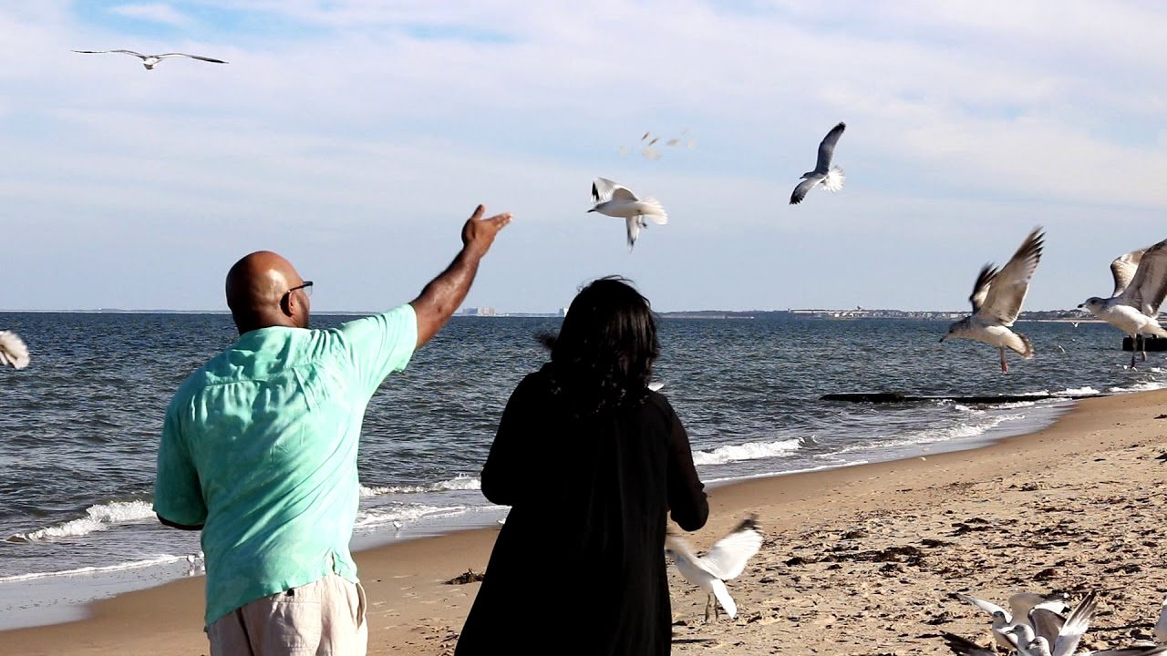 Promotional video thumbnail 4 for Stanley Ray Jr