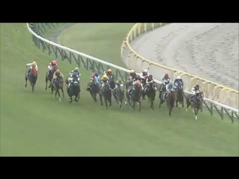 2020.05.10 NHK Mile Cup (JPN) - Lauda Sion